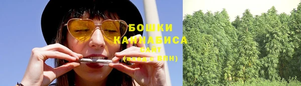 индика Аша