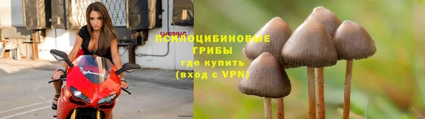 ешки Абаза